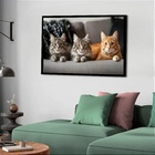 Quadro Decorativo Trio Gatinhos  - 50x70cm Moldura Branca