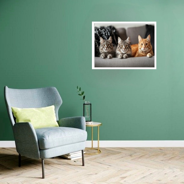 Quadro Decorativo Trio Gatinhos  - 50x70cm Moldura Preta