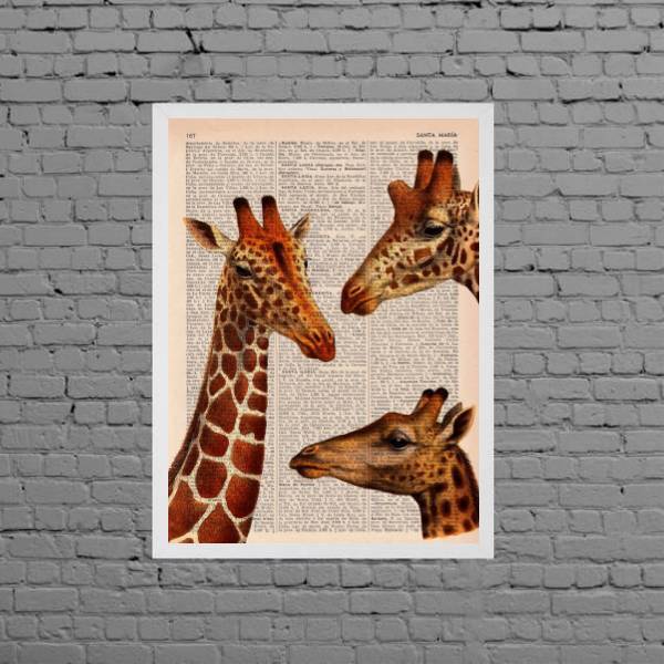 Quadro Decorativo Trio Girafas 45x34cm Moldura:madeira Preta