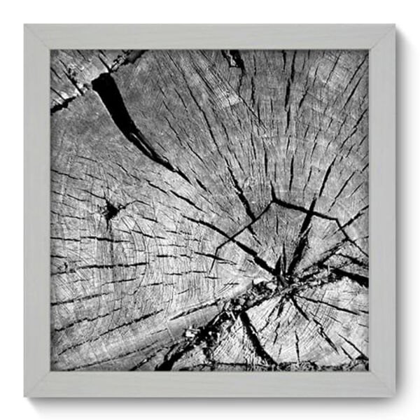 Quadro Decorativo - Tronco - 22cm X 22cm - 037qndab