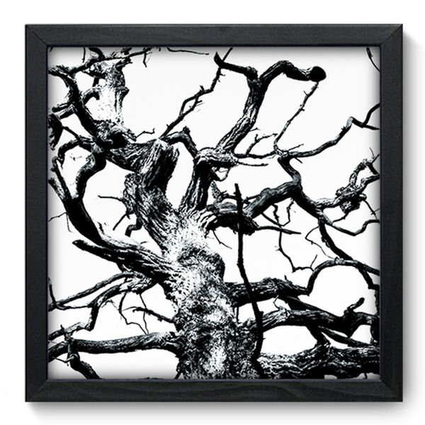 Quadro Decorativo - Tronco - 33cm X 33cm - 278qddp