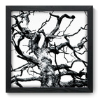 Quadro Decorativo - Tronco - 33cm X 33cm - 278qddp