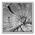 Quadro Decorativo - Tronco - 50cm X 50cm - 037qndcb