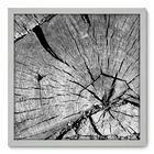 Quadro Decorativo - Tronco - 50cm X 50cm - 037qndcb