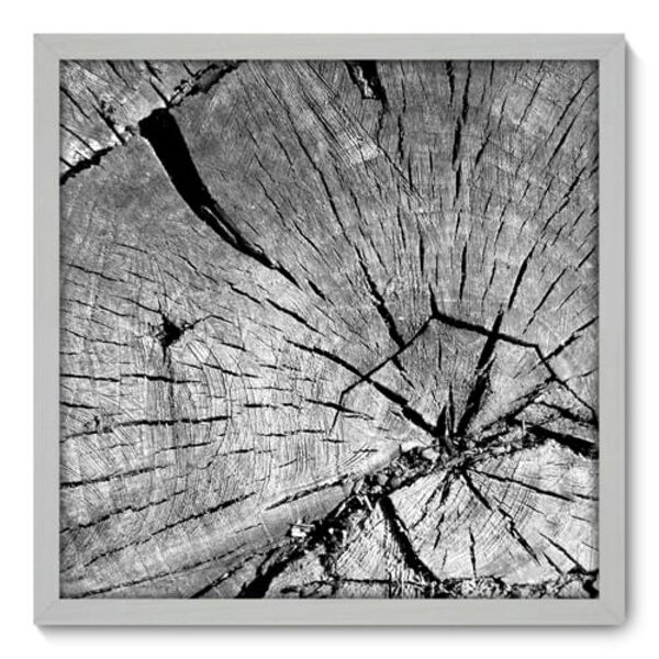 Quadro Decorativo - Tronco - 50cm X 50cm - 037qndcb