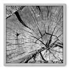 Quadro Decorativo - Tronco - 70cm X 70cm - 037qnddb