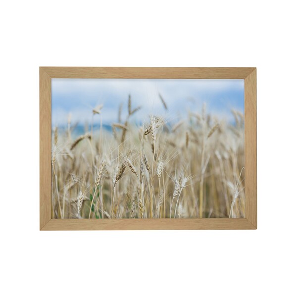 Quadro Decorativo Tropical Palha 40x30x1cm Tropical