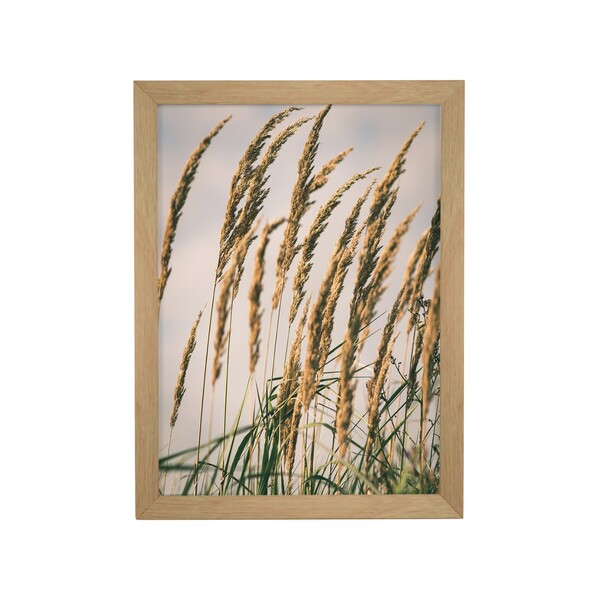 Quadro Decorativo Tropical Palha 40x30x1cm Tropical