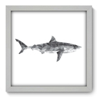 Quadro Decorativo - Tubarão - 33cm X 33cm - 036qdsb