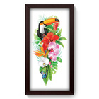 Quadro Decorativo - Tucano - 19cm X 34cm - 026qdsp