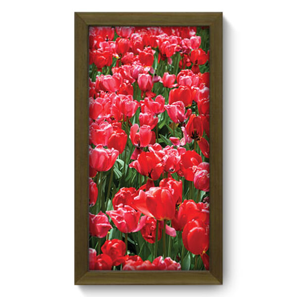 Quadro Decorativo - Tulipas - 19cm X 34cm - 054qdfm