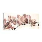 Quadro Decorativo V Flores Estampado