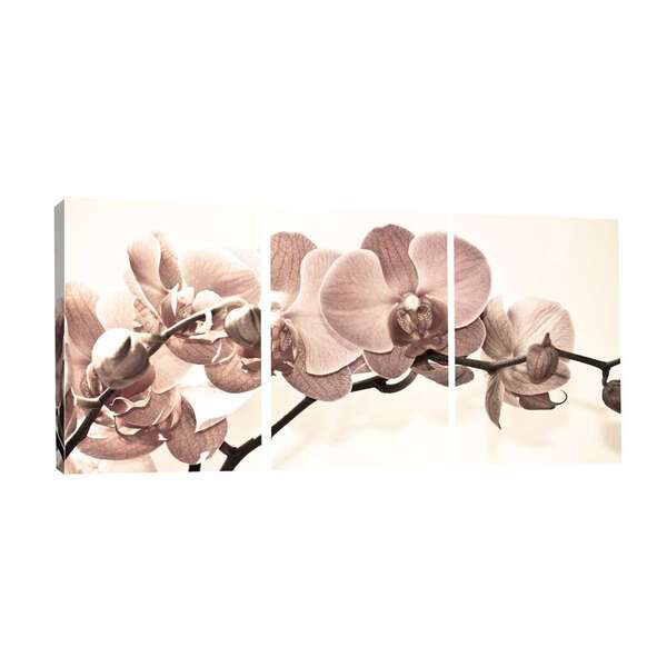 Quadro Decorativo V Flores Estampado