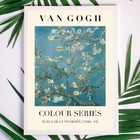 Quadro Decorativo Van Gogh Cerejeiras 45x34cm - Com Vidro Mol