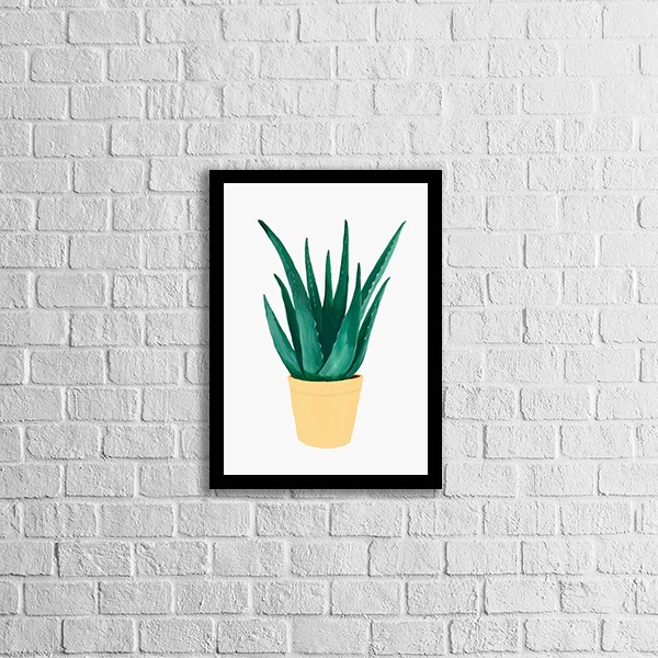 Quadro Decorativo Vaso Espada De São Jorge 45x34cm A3 (45 X 3