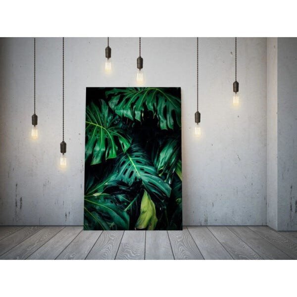 Quadro Decorativo Vegetação Costela De Adão 001 - 90x60cm