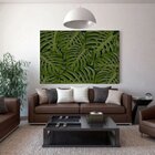 Quadro Decorativo Vegetação Costela De Adão 003 - 90x60cm