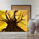 Quadro Decorativo Vegetação Ipê Amarelo - 180x120 Cm