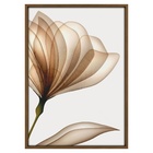 Quadro Decorativo Vestígio 3 Colorido com Vidro 70x50x2,8cm Tropical