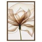 Quadro Decorativo Vestígio Colorido com Vidro 70x50x2,8cm Tropical