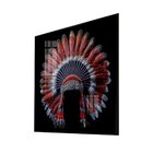 Quadro Decorativo Vinil Com Vidro Cocar 100x100 Colorido