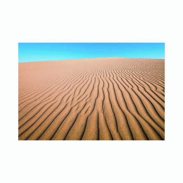 Quadro Decorativo Vinil Deserto I0601 11 Branco 50x75 Leroy Merlin