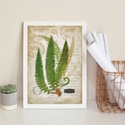 Quadro Decorativo Vintage Botânica Folhas 24x18cm - Com Vidro