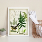 Quadro Decorativo Vintage Botânica - Passarinho 33x24cm Moldu