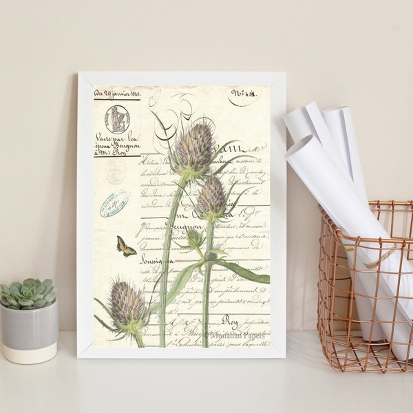 Quadro Decorativo Vintage Retrô Botânica 45x34cm - Com Vidro