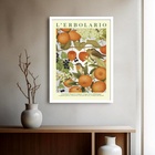 Quadro Decorativo William Morris Lerbolario Laranja  - 70x50c