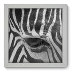 Quadro Decorativo - Zebra - 22cm X 22cm - 003qnsab