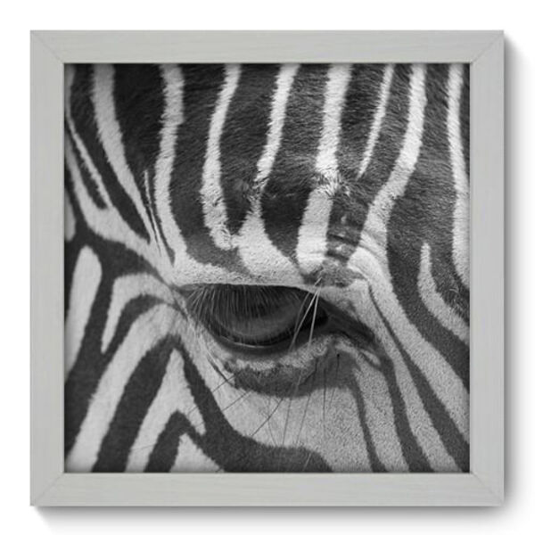 Quadro Decorativo - Zebra - 22cm X 22cm - 003qnsab