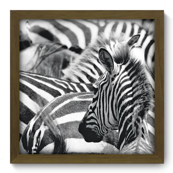 Quadro Decorativo - Zebra - 33cm X 33cm - 004qdsm