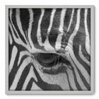 Quadro Decorativo - Zebra - 70cm X 70cm - 003qnsdb