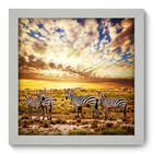 Quadro Decorativo - Zebras - 22cm X 22cm - 008qnsab
