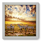 Quadro Decorativo - Zebras - 22cm X 22cm - 008qnsab