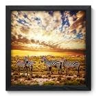 Quadro Decorativo - Zebras - 33cm X 33cm - 008qnsbp