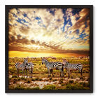 Quadro Decorativo - Zebras - 70cm X 70cm - 008qnsdp