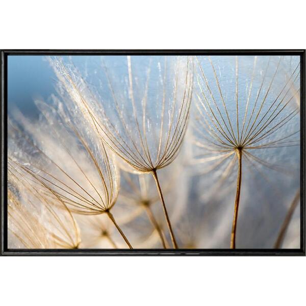 Quadro Dente De Leão Azul 70x50 - Casa Da Moldura