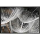 Quadro Dente De Leão Nublado 70x50 Cm - Casa Da Moldura