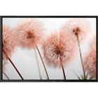 Quadro Dente De Leão Rosa 120x80 - Casa Da Moldura