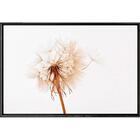 Quadro Dente De Leão Single 70x50 - Casa Da Moldura