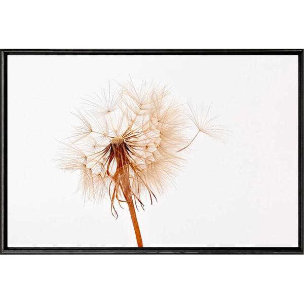 Quadro Dente De Leão Single 70x50 - Casa Da Moldura