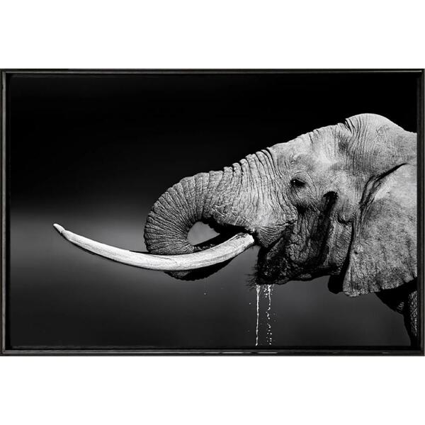 Quadro Dente De Marfim Pb 120x80cm - Casa Da Moldura