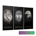 Quadro Disciplina, Execução E Foco 3 Peças Grande 135x90