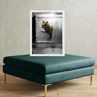 Quadro Divertido Banheiro - Tiranossauro 33x24cm - Com Vidro