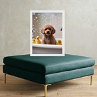 Quadro Divertido Para Banheiro - Poodle 24x18cm Moldura Branca