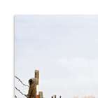 Quadro Dois Carros Uniart Vermelho 45x45cm