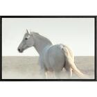 Quadro Égua Branca 70x50 - Casa Da Moldura