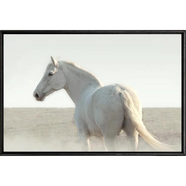 Quadro Égua Branca 70x50 - Casa Da Moldura